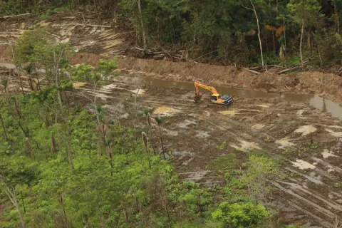 Apertura de drenajes podrían afectar el área del humedal de Matusagaratí, en Darién
