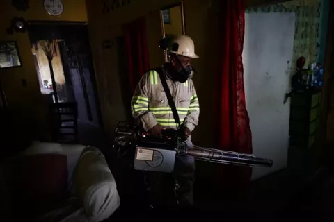 Se duplican los casos de dengue en Panamá, que acumula 28 muertes por la enfermedad