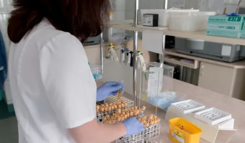 Un tratamiento eficaz para la hepatitis D