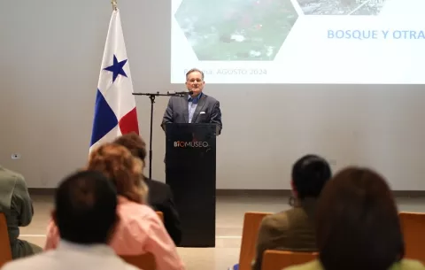 Panamá vive una 'crisis ambiental' con la pérdida del 4% de sus bosques en 2 años