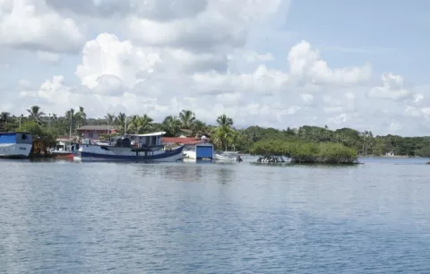 MiAmbiente, en alerta ante reportes de  ballenas enmalladas en las costas del país