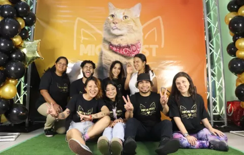Convención para los amantes de los gatos