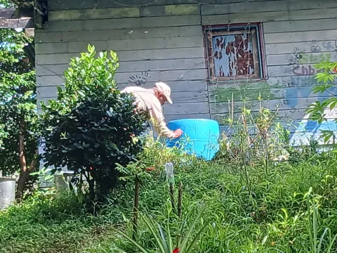 Siguen las estrategias contra el dengue en Colón
