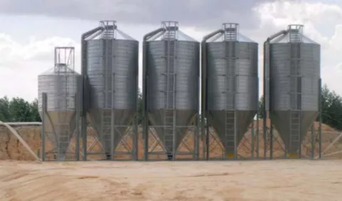Silos de arroz, una propuesta de transformación agroindustrial 