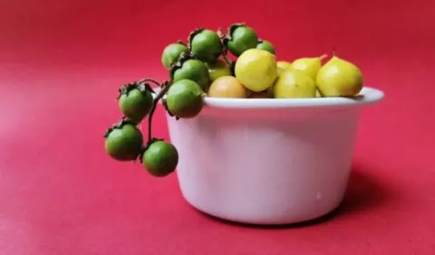 Temporada de nance, ¡fruta cargada de colágeno! 