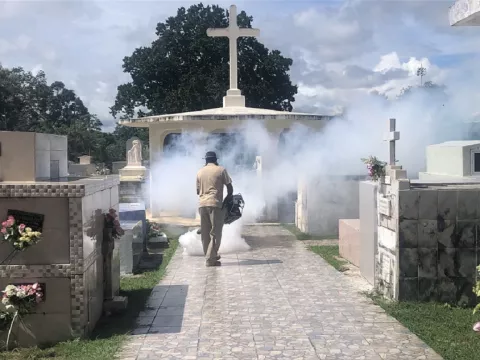 Preocupante cantidad de criaderos de mosquitos en Ocú 