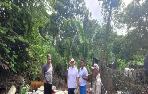 Autoridades de salud del Oeste y Colón piden ayuda para acabar con el dengue