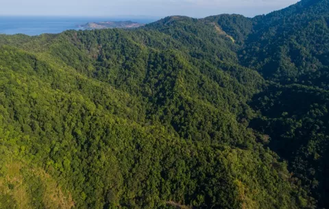 MiAmbiente implementa pago en línea para áreas protegidas en Panamá