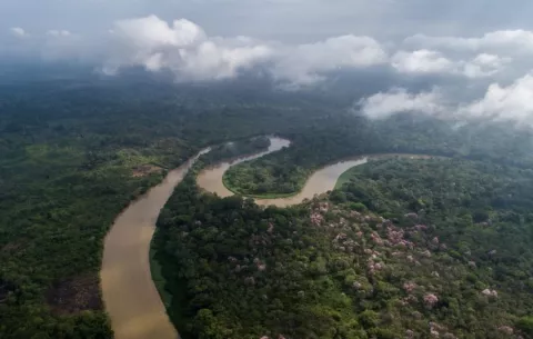 Suspenden anteproyecto que impactaría de forma negativa al Parque Nacional Darién