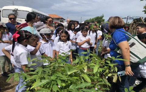 Estudiantes realizan jornada de reforestación en Pedasí