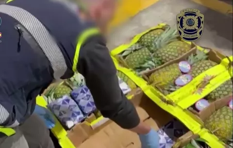 Una tonelada de cocaína entre piñas procedentes de Panamá fue intervenida en España