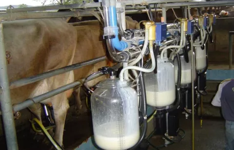 Entrega de subsidios a productores también estuvo repleta de irregularidades
