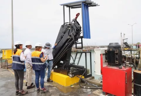 Detectan anomalías en el Puerto de Vacamonte.