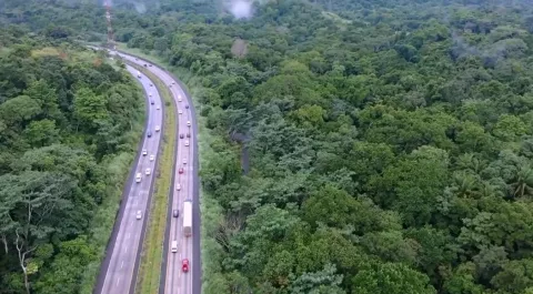 Alcaldía de Arraiján apuesta por la creación de vía forestal