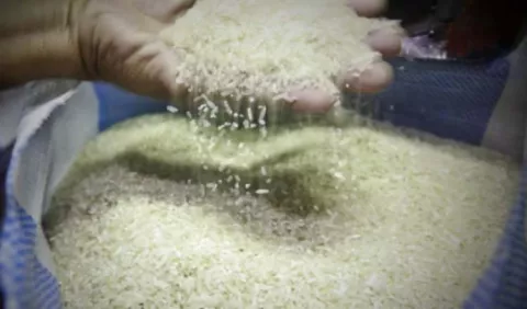 Molineros se comprometen a abastecer de arroz al IMA