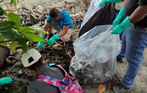 Recogen más de dos toneladas de desechos en las playas de Barú