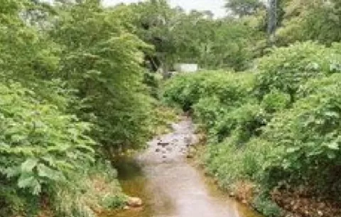 Buscan a un hombre de 65 años desaparecido en el río de Dolega