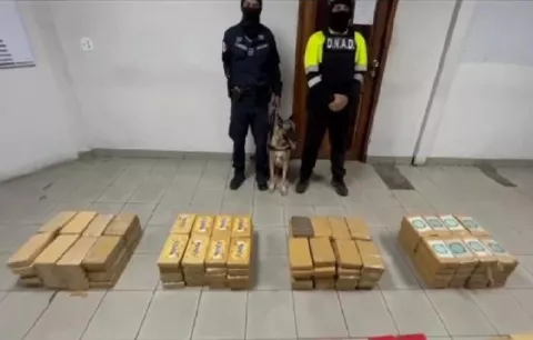 Incautan 798 paquetes con sustancias ilícitas en una terminal portuaria de Colón