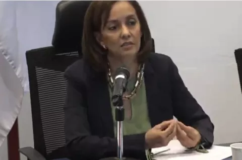 Proyecto de ley sobre silla de retención para niños en autos se discute en primer debate