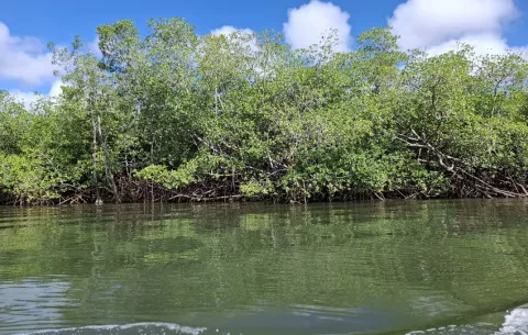 Una biodiversidad invaluable