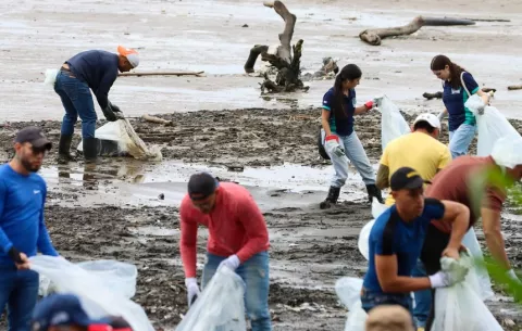 Ley colocará a Panamá entre los 10 primeros países líderes en la conservación marina