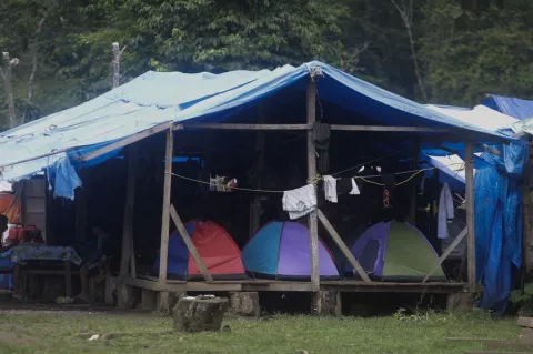 Hallan campamento clandestino de migrantes irregulares en la selva del Darién