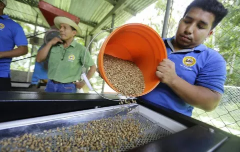 'Café del Canal de Panamá', la marca en crecimiento que sostiene la cuenca hídrica