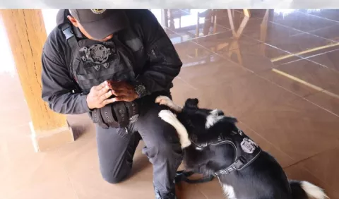 ¿Cómo entrenan los policías de cuatro patas y narices frías?
