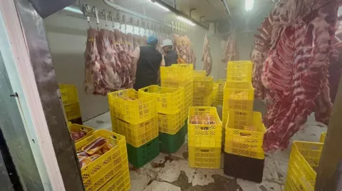 Ordenan cierre temporal de planta de sacrificio por incumplir normas sanitarias