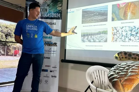 Convención sobre la conservación de las tortugas marinas