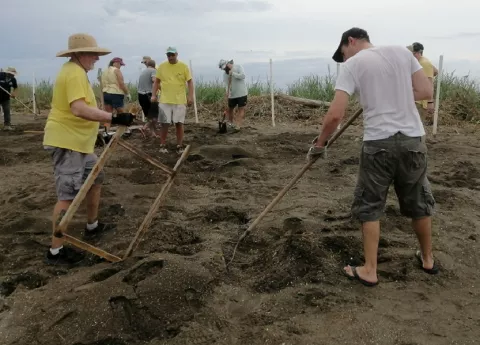Crean nidos protegidos de tortugas marinas en costas de la isla Cañas 