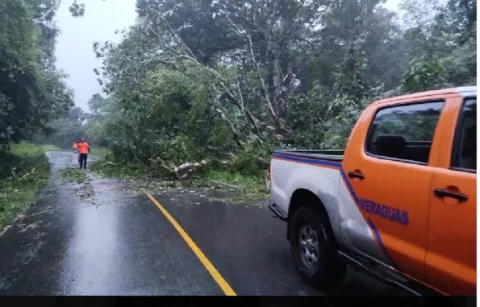 Varias casas inundadas, árboles caídos y un desaparecido por las lluvias en el interior