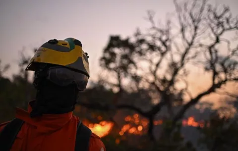 Amazonía brasileña registró en septiembre 41,436 incendios forestales