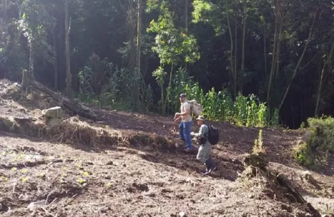 Denuncia por posible delito ambiental en el Parque Nacional Volcán Barú