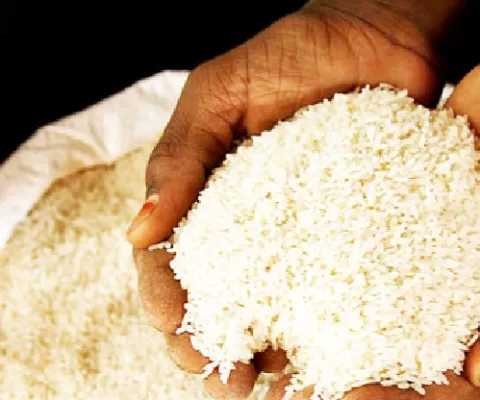 Impulsan comercialización del arroz bajo en carbono