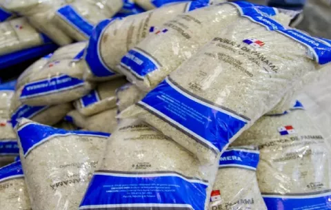 Importación de arroz no afectará la producción nacional