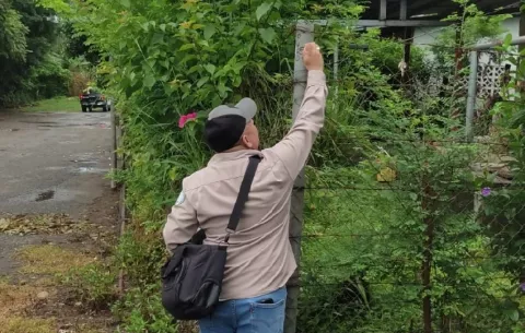 Investigan si muerte de un menor de siete años en Chiriquí fue por dengue