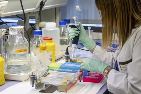 Crean un modelo para pronosticar la mortalidad a 90 días de pacientes oncológicos