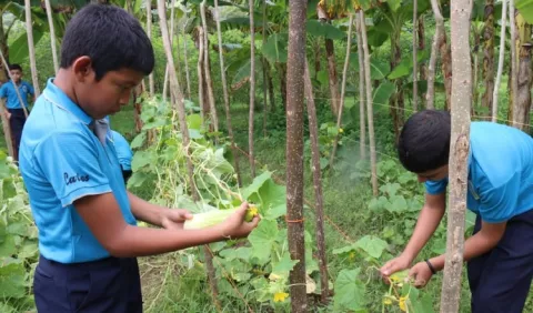 Cooperativismo: diversificado y activo