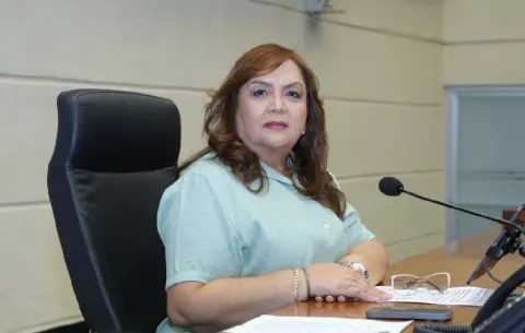 Castañeda justificó el aumento de $10 millones al presupuesto de la Asamblea