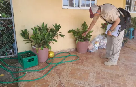 Panamá acumula 22,527 casos de dengue y 44 fallecidos