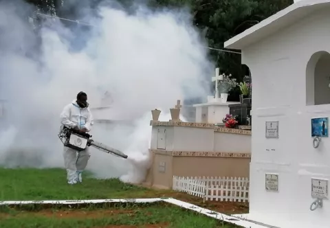 Preocupante incremento de criaderos de mosquitos detectan en la provincia de Chiriquí 