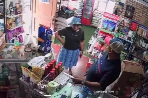 Hurtan medicamentos veterinarios en Canto del Llano, peligrosos para las personas 