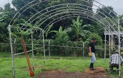 Construyen viveros e invernaderos dirigidos a comedores infantiles y escolares