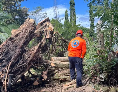 Cerca de 200 viviendas afectadas deja mal tiempo en el país