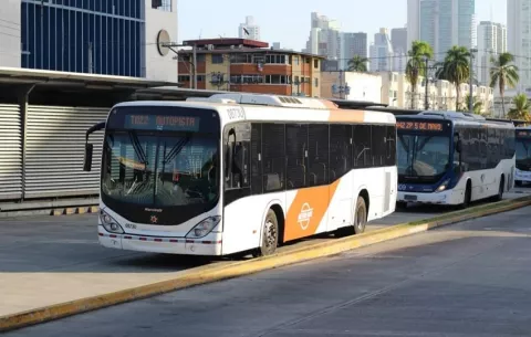 MiBus espera tener a finales de año mil buses operativos