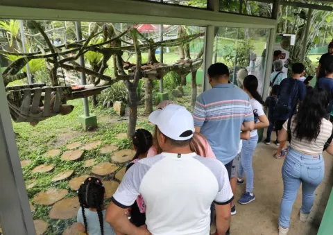 Primer  'Perezoso Fest' recibió la visita de 2,000 personas