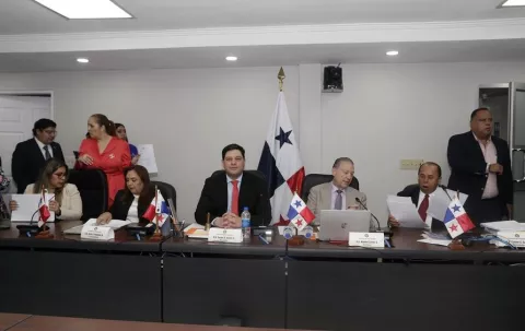 Comisión está dispuesta a trabajar días patrios para aprobar presupuesto