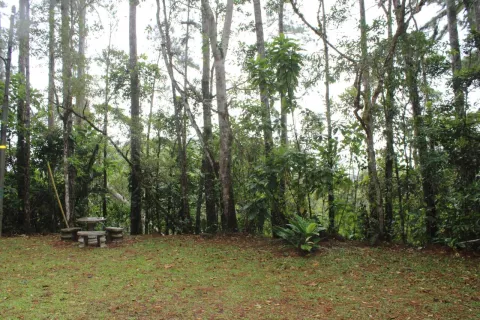 Parque Altos de Campana será mejorado por MiAmbiente