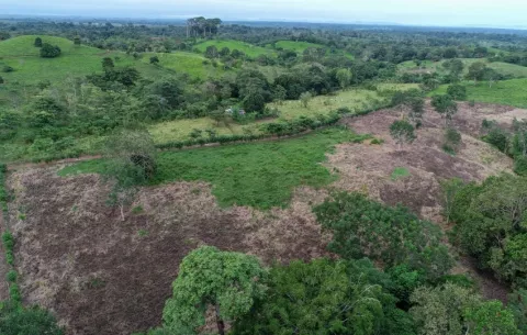 La increíble transformación de una zona boscosa de Darién debido a la tala indiscriminada